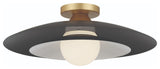 Welsh 1 Light LED 18" Sconce, Black