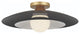 Welsh 1 Light LED 18" Sconce, Black