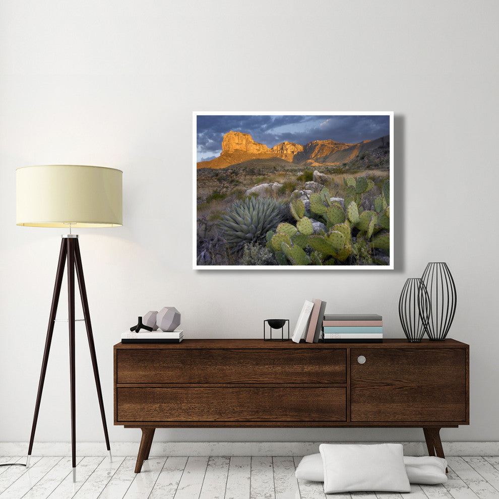 "Opuntia cactus and Agave, Guadalupe Mountains National Park" Paper Art, 50"x38"
