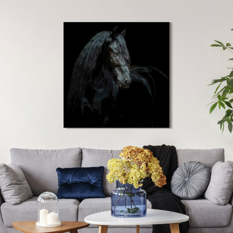 "Black Equine Attraction" Frameless Free Floating Tempered Glass Panel Wall Art