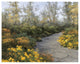 "Step Into Autumn" Digital Paper Print by Diane Romanello, 26"x22"