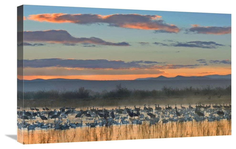 "Snow Geese and Sandhill Cranes, New Mexico" Paper Art, 30"x20"