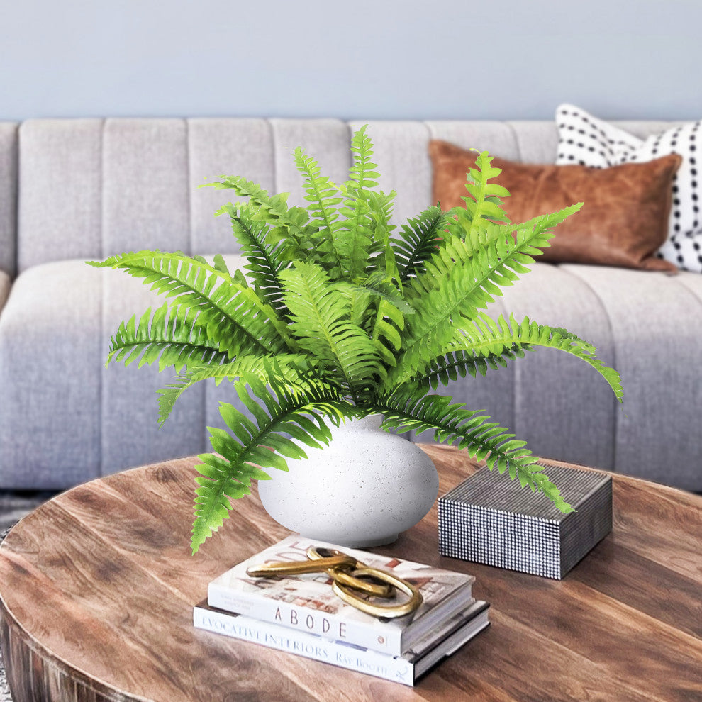 Shows the fern in a real living-room setting (lifestyle).