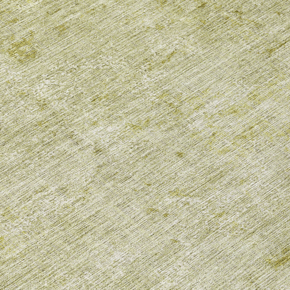 Machine Washable Indoor/Outdoor Chantille ACN1901 Aloe 10' x 14' Rug