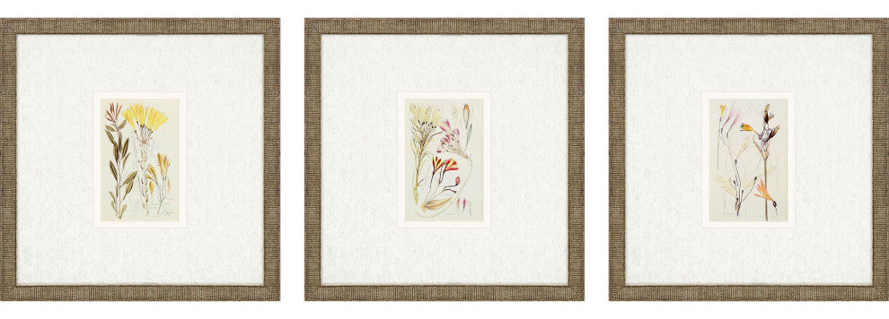 Antique Botanical II, 3-Piece Set Framed Art