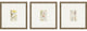 Antique Botanical II, 3-Piece Set Framed Art
