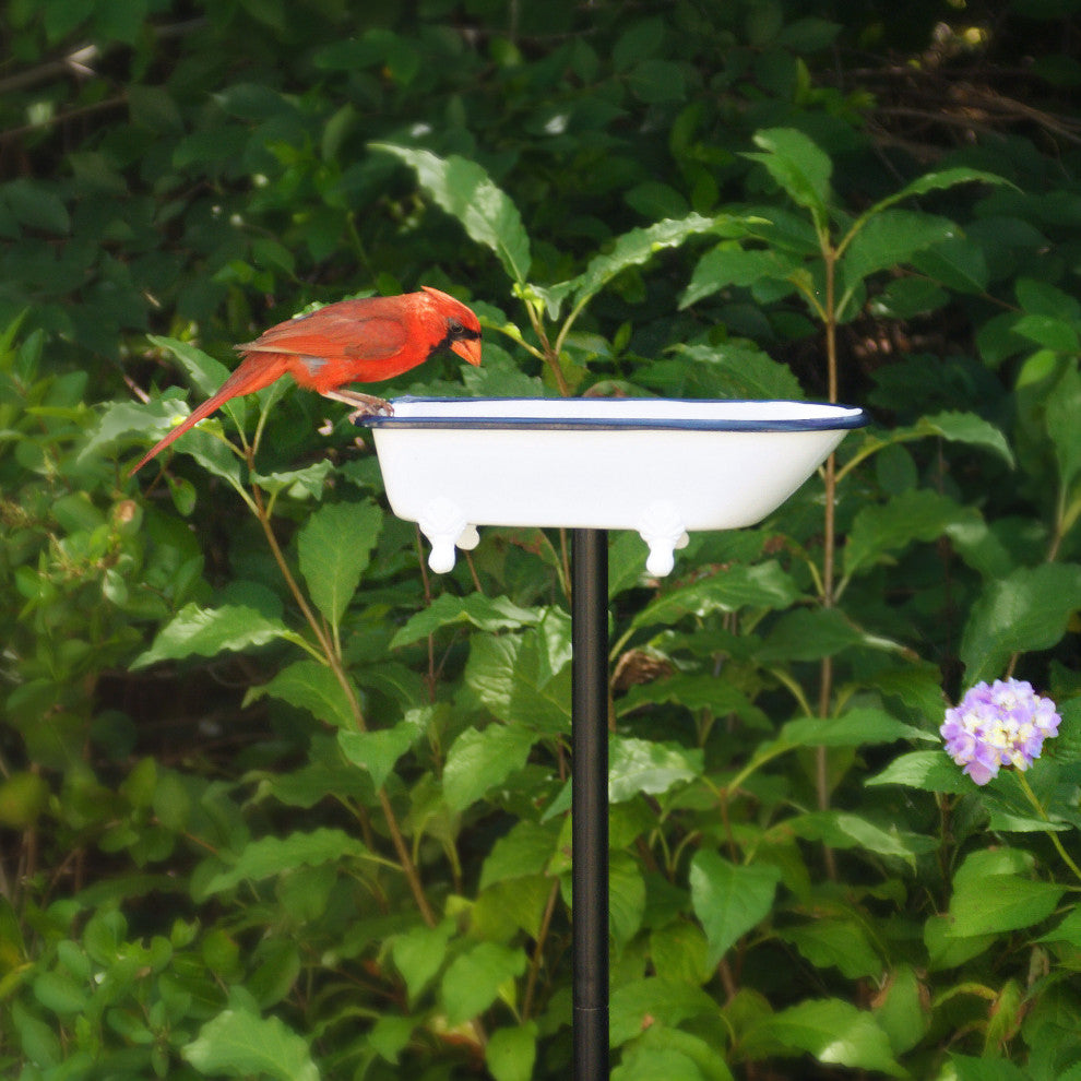 Splish-Splash Bird Bath Brass With White Finish by Good Directions