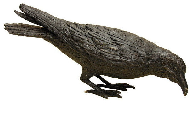Black Raven, C