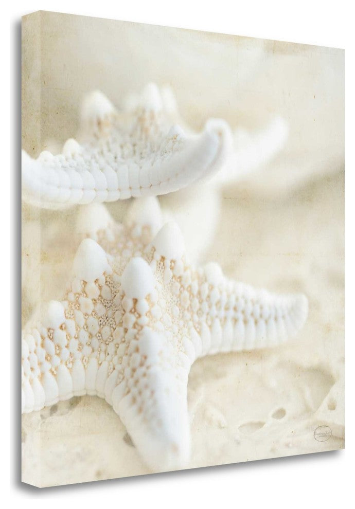 "Seashore Stars" By Brookview Studio, Giclee Print on Gallery Wrap Canvas