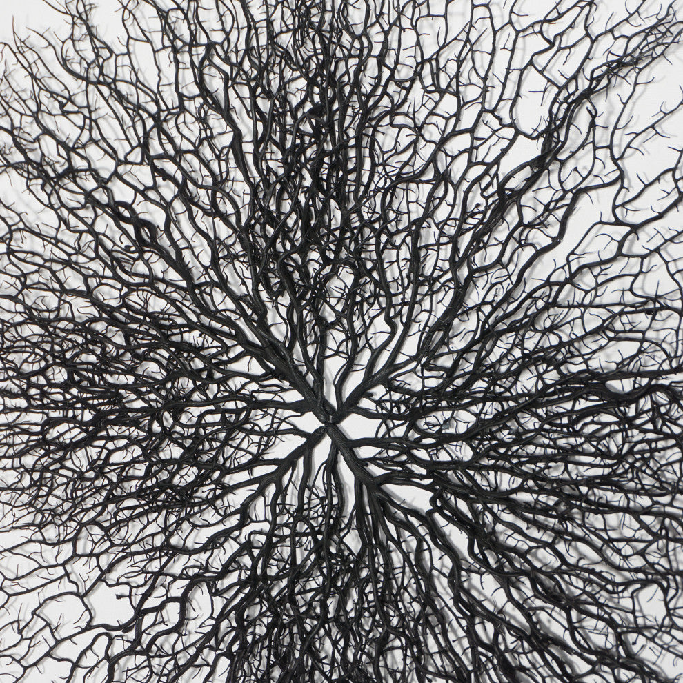 Tree Roots Shadow Box Wall Decor