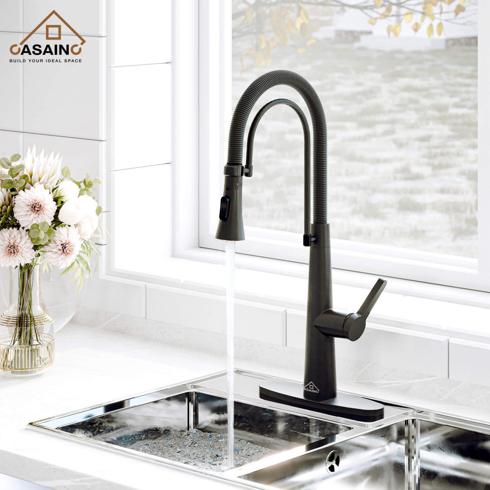 Kitchen Faucet Standard Single-Handle Spring Neck Dual-Function Spray Head, Matte Black