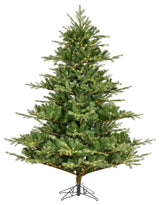 Vickerman Sherman Fir Artificial Christmas Tree, Warm White, 6.5' X 63"