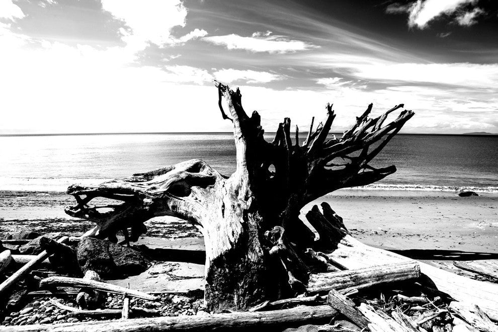Tides Gift Fine Art Giant Canvas Print, 72"x48"