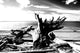 Tides Gift Fine Art Giant Canvas Print, 72"x48"