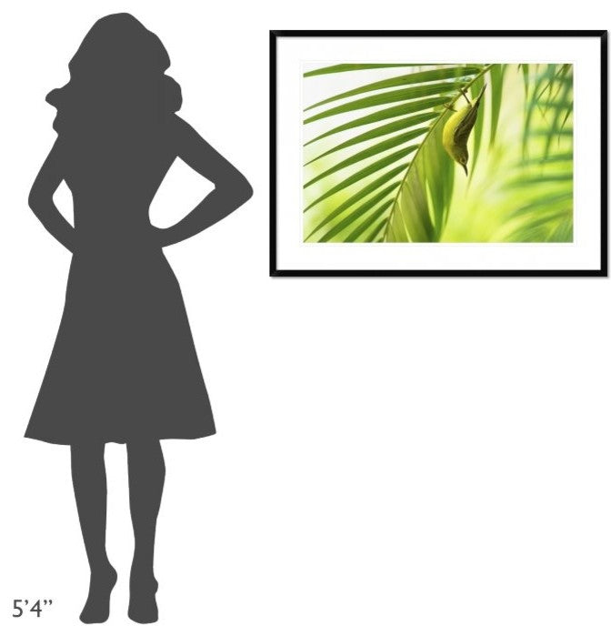 "50 Shades Of Green" Framed Digital Print by Daniele Bariviera, 38"x28"