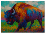 Marion Rose 'Prairie Muse' Canvas Art, 35" x 47"
