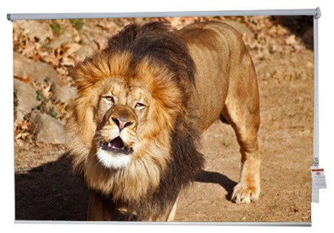 "Lion" Artwork, 3' Shade, Partial Sheer