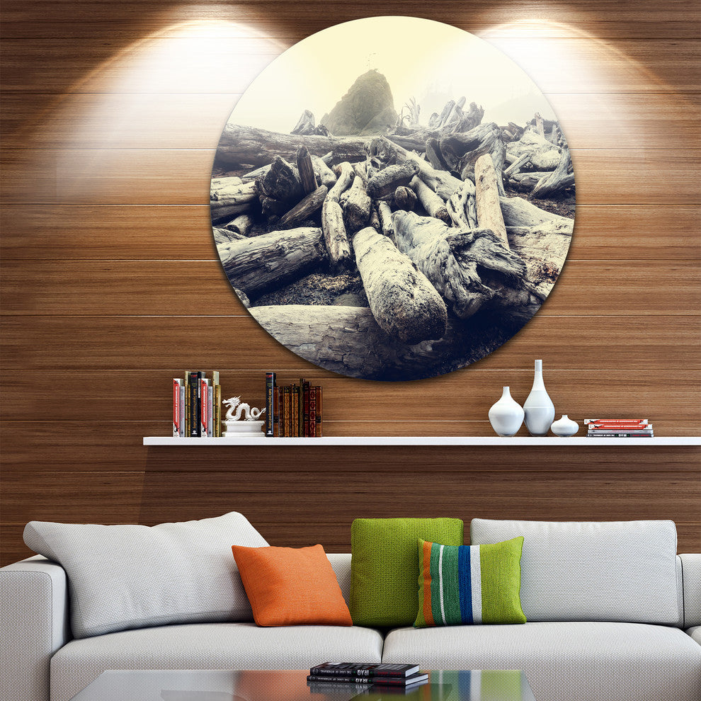 Olympic National Park Landscape, Landscape Round Metal Wall Art, 11"
