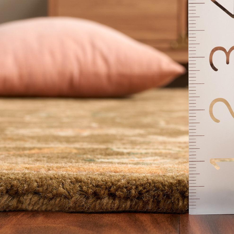 Safavieh Antiquity Collection AT52 Rug, Olive/Gold, 2'x3'