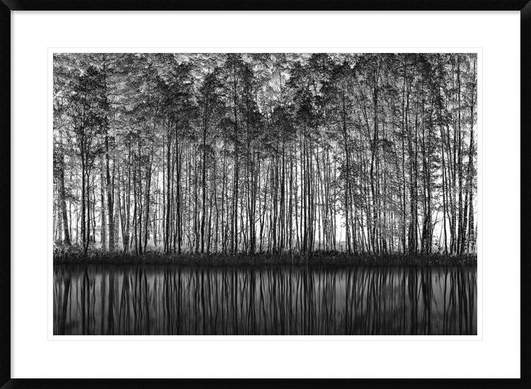 "Pointillism Nature" Framed Print by Roswitha Schleicher-Schwarz, 38"x28"