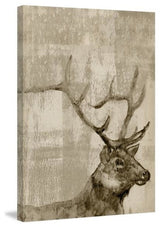 "Curious Buck" Painting Print on Wrapped Canvas, 24"x36"