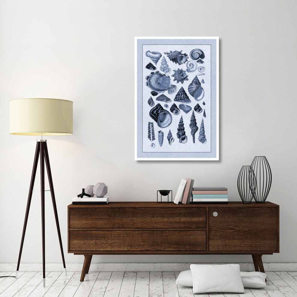 "Shells: Trachelipoda #3 (Blue)" Digital Paper Print by G.B. Sowerby, 34"x50"
