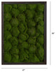 17" X 24" Artificial Moss Hanging Frame