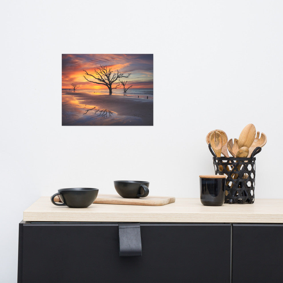 Sunrise and Trees At Edisto Island Coastal Landscape Photo Loose Wall Art Print, 11" X 14"