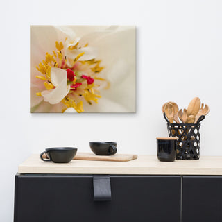 Eye of Peony Floral Nature Photography Canvas Wall Art Print, 16" X 20"