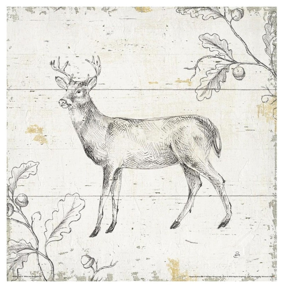 "Wild and Beautiful VI" Digital Paper Print by Daphne Brissonnet, 32"x32"