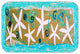 StarFish Fancy Plush Bath Mat, 20"x15"