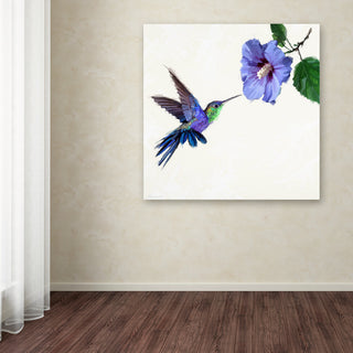 The Macneil Studio 'Humming Bird' Canvas Art, 24"x24"