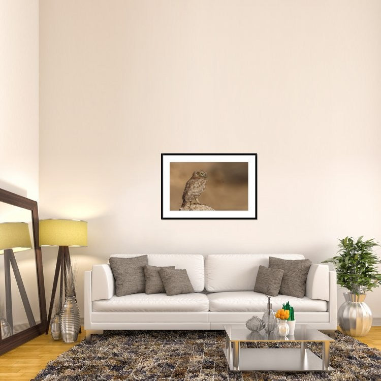 "Owl Vs Bee" Framed Digital Print by Assaf Gavra, 44x30"