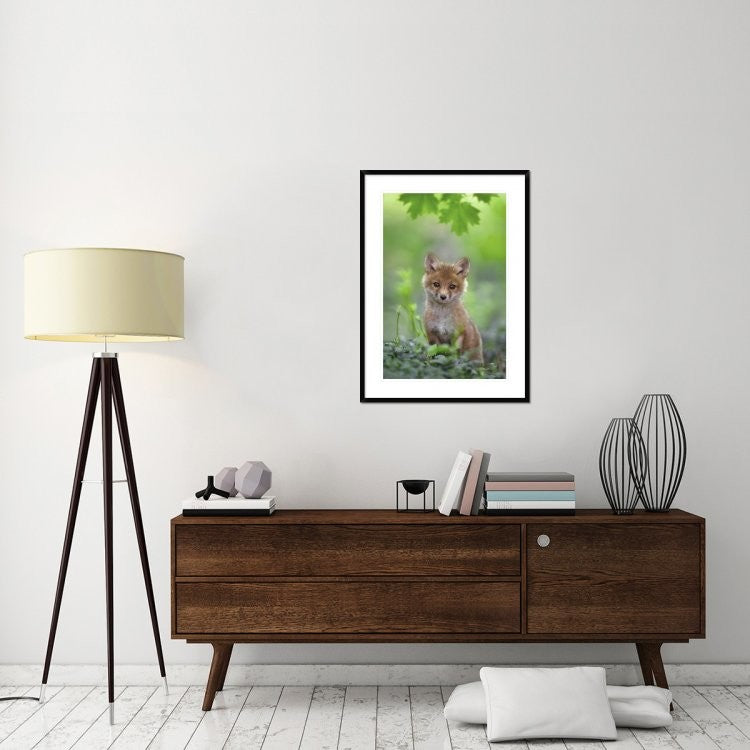 "Red Fox Pup" Framed Digital Print by Nick Kalathas, 28"x38"