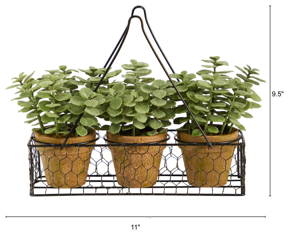 7" Mini Jade Garden Artificial Plant, Hanging Planter
