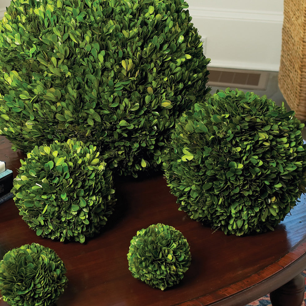 Boxwood Ball, 12"