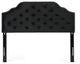GDF Studio Falcon Tufted New Velvet Queen/Full Headboard, Black