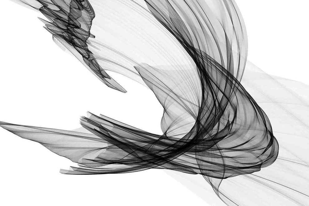 "Abstract Black and White 20-29-04" Print on Canvas by Irena Orlov