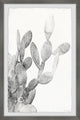 "Prickly Bloom" Framed Painting Print, 12x18