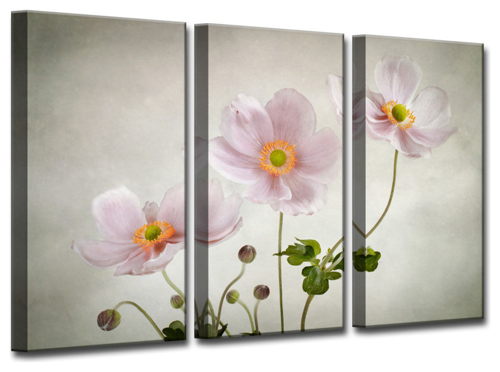 Ready2HangArt 'Anemones' 3-Piece Canvas Wall Decor Set, 60"x40"