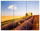 Grain Fields with Lavender Rows, Landscape Canvas Wall Art, 36x28, 3 Panels