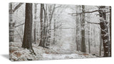 Forest Trail on Winter Morning, Large Forest Canvas Art Print, 32"x16"