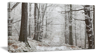 Forest Trail on Winter Morning, Large Forest Canvas Art Print, 32"x16"
