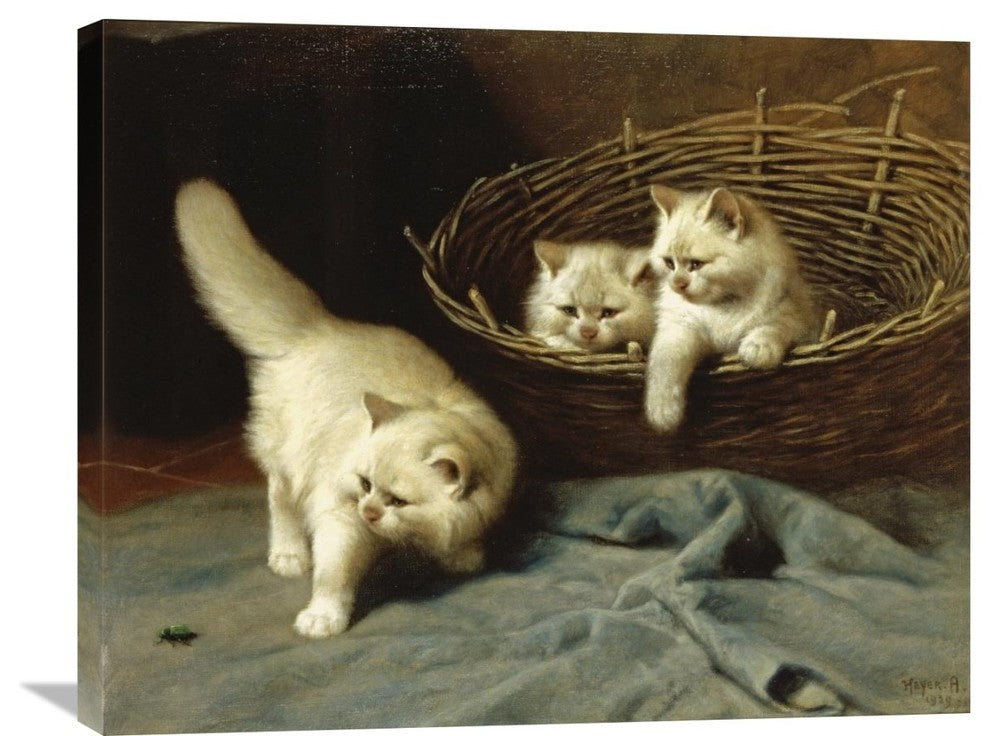 "White Angora Kittens With a Beetle" Canvas Giclee by Arthur Heyer, 30"x24"