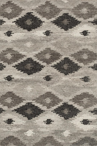 Gray Charcoal Akina Area Rug by Loloi, 9'3"x13'