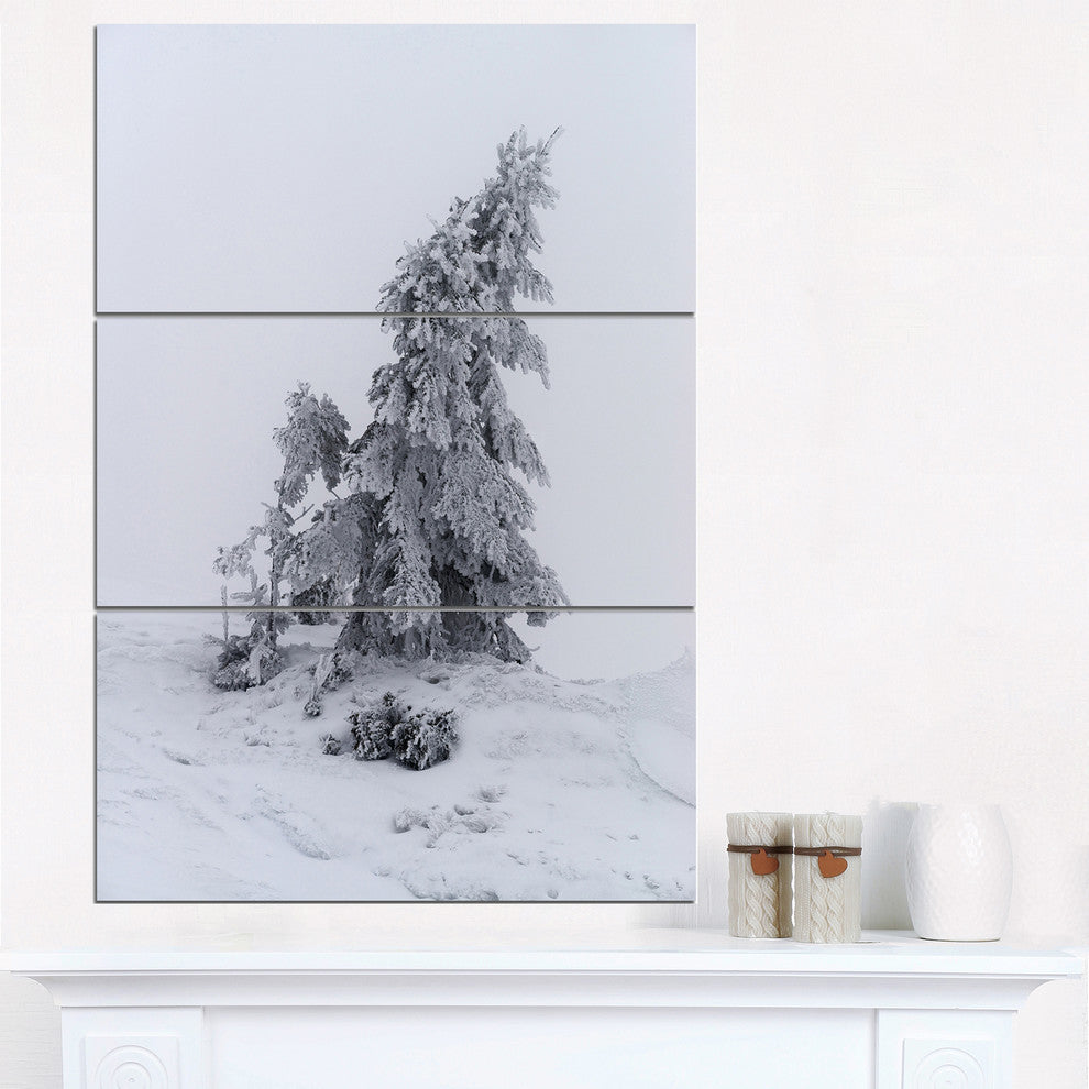 "Grayscale Valley in Frost" Photo Metal Wall Art, 3 Panels, 28"x36"