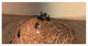 "Curiosity Self-Portrait, Buckskin Drilling Site, Mt Sharp" Paper Art, 74"x38"