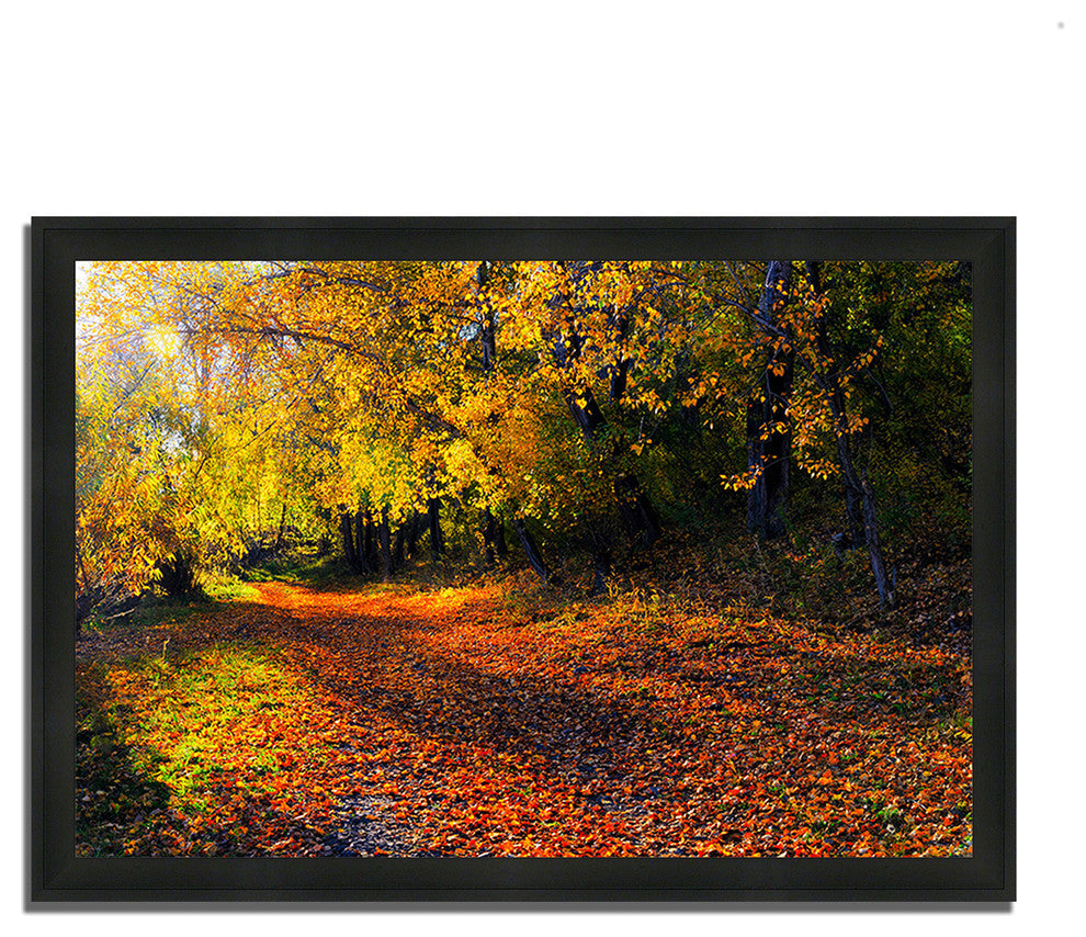 "Auburn Trail", Framed Photograph Print, Ready To Hang