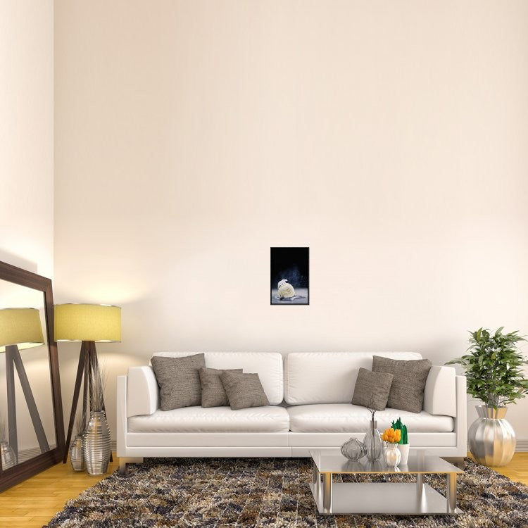 "Polar Bear (Powdered Sugar)" Framed Canvas Giclee by Dina Belenko, 13x19"