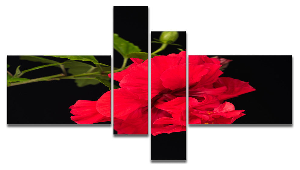 Bright Red Hibiscus on Black, Large Floral Canvas Art Print, 60"x32", 4 panels